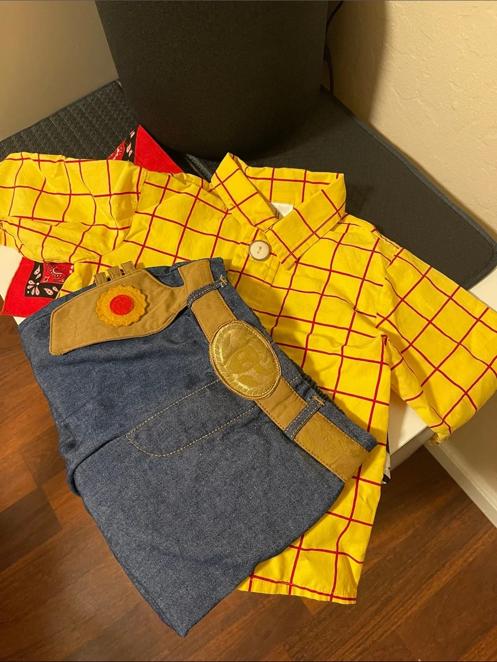 Toy Story- 2T Woody costume